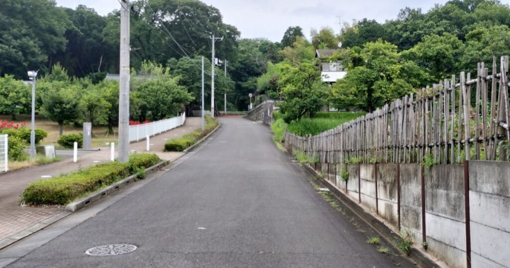 田舎のなだらかな上り坂の舗装道路。右側に生垣、道の先は雑木林に続いている。