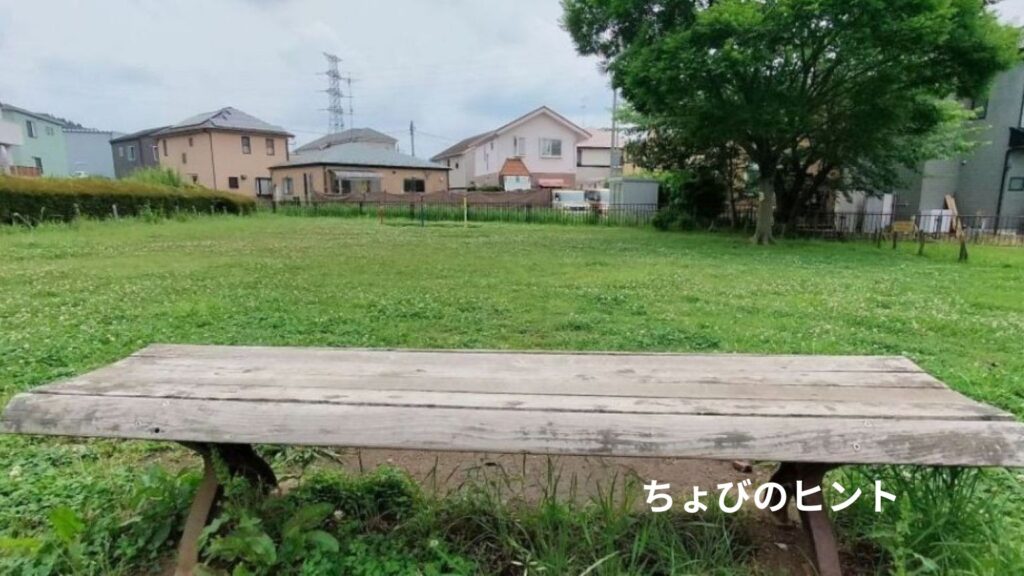公園の緑の絨毯　手前に平らかな木製ベンチ