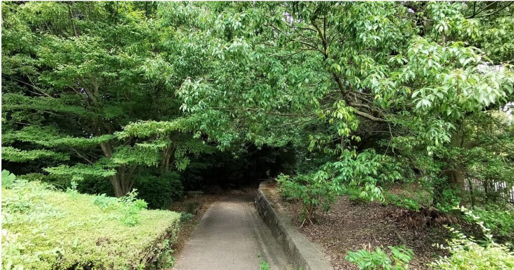 石畳の細い道　緑のトンネル